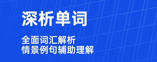 六级估分器app软件功能