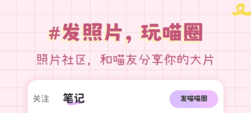 拼图喵相机1