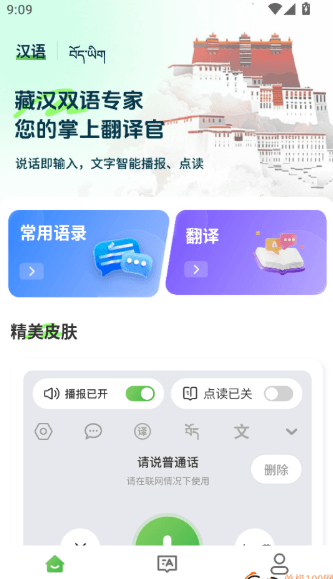 如何使用语音翻译工具配图3