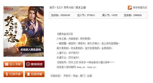 《焚天之怒》小说