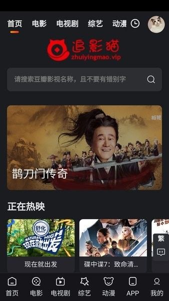 追影猫图片3