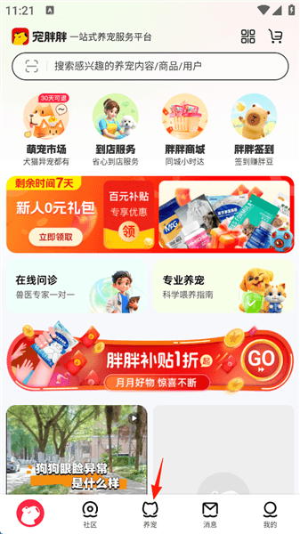 宠胖胖app官方版如何进行猫咪MBTI性格测试配图1
