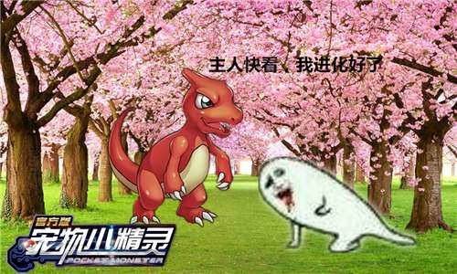 宠物小精灵宣传图一