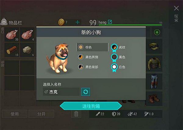 怎么带狗配图2
