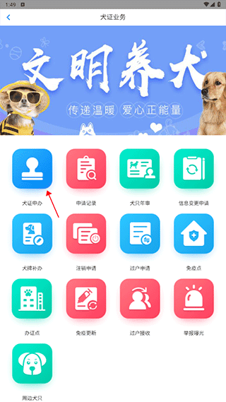 怎么办狗证配图2
