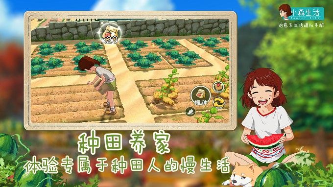 首席种田人辣目洋子入驻《小森生活》,开启田园风治愈系新生活 首席种田人辣目洋子入驻《小森生活》,开启田园风治愈系新生活