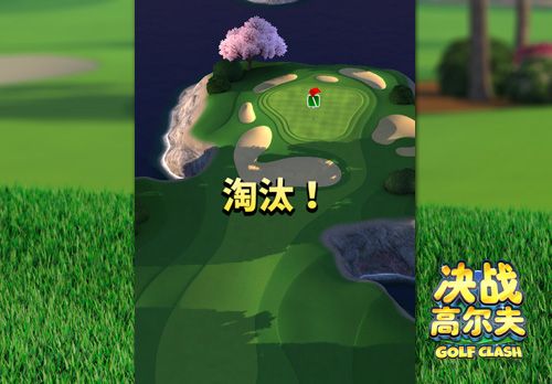 决战高尔夫3
