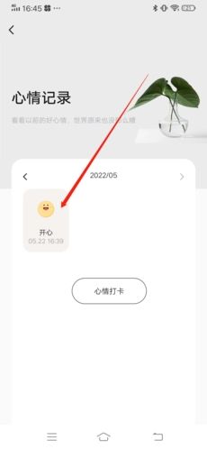 岁岁app11