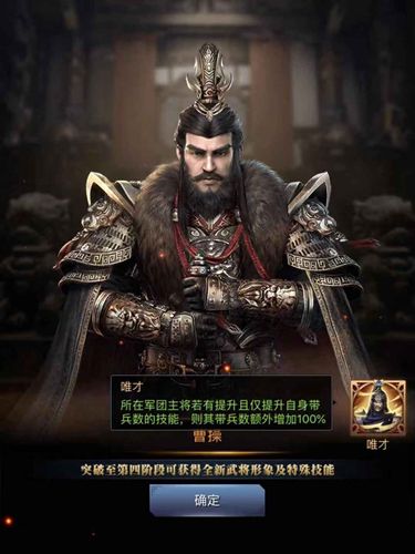 三国群英传-霸王之业3