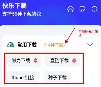 怎么下载磁力配图3