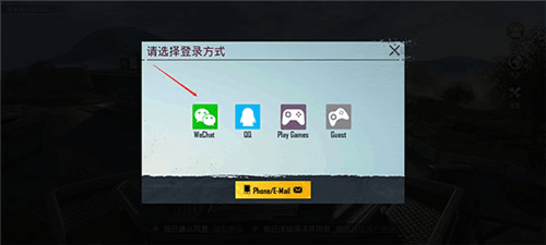 和平精英国际版4