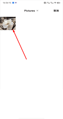 拍照识花app4