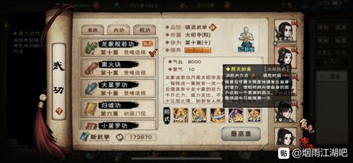 烟雨江湖龙象般若功图片
