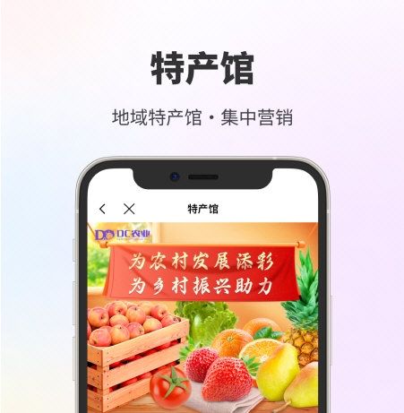 DC网3
