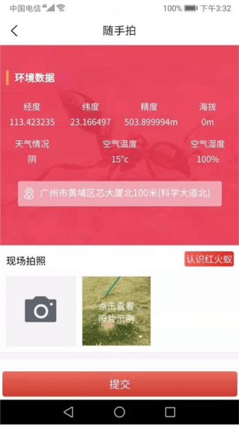 红火蚁图片