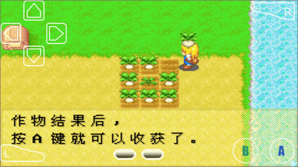 种植教程配图7