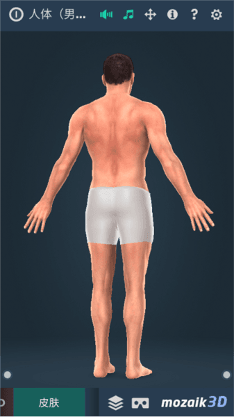Humanbody软件图片2