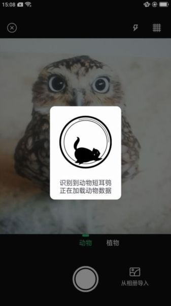 动物百科2