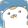 主播和猫的故事手机版