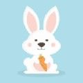 兔子窝影视最新版