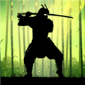 暗影格斗1单机版