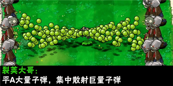 植物介绍配图18