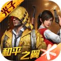 吃鸡流畅极限画质助手