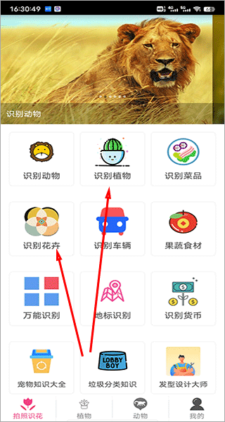 怎么识别植物配图1