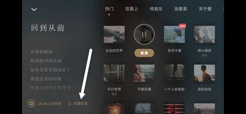 WIDEapp13