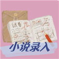 小说录入赚钱通手机登录版