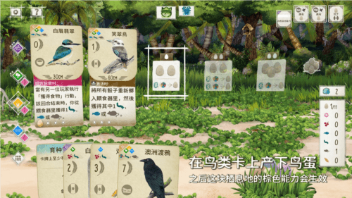展翅翱翔测评:破开圈层体会平时关注不到的乐趣 展翅翱翔2