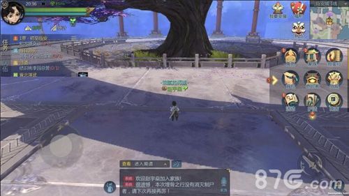 剑侠世界2护法