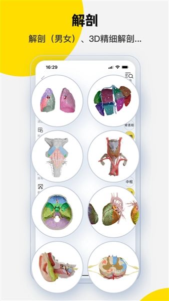软件内容配图1