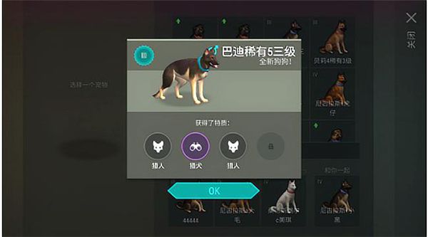怎么带狗配图4