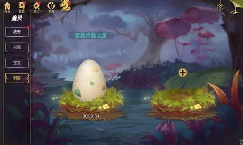 塞尔之光2