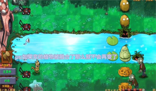 彩蛋植物获取方法 配图3