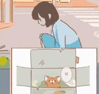 遇见你的猫游戏截图