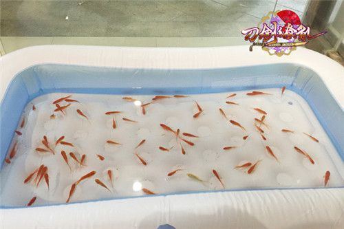 刀剑缭乱夏日祭传统活动捞金鱼