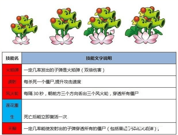 植物介绍配图7