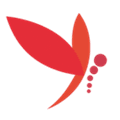 蜻蜓主播app