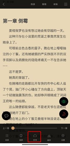 猴子阅读图片10