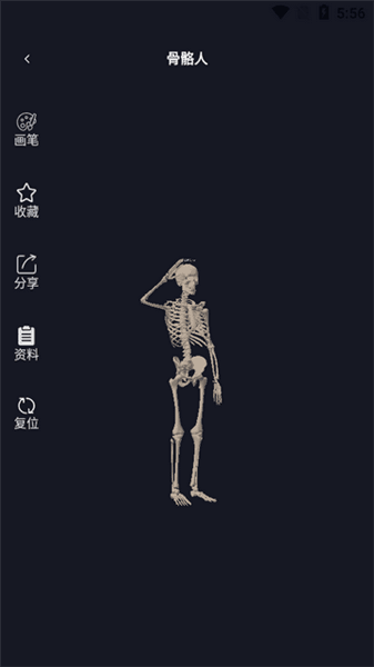 3D速写模型怎么看配图1