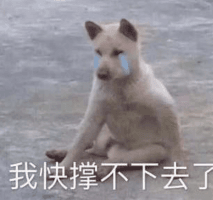 终于,我再次成了《推理学院》这条gai最靓的仔 终于,我再次成了《推理学院》这条gai最靓的仔