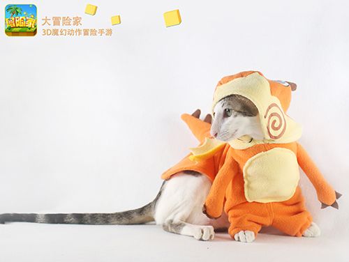 沙巴克传奇2