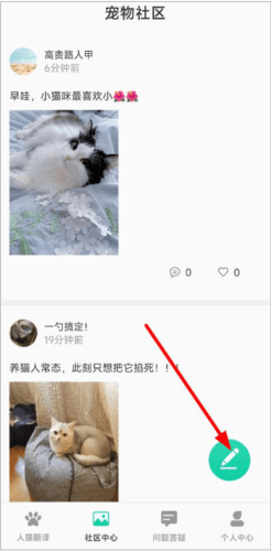 猫语翻译机免费版4