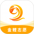 金鲤志愿app