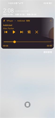 RPlayer安卓版怎么设置状态栏歌词3