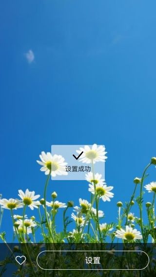 怎么设置主屏幕壁纸配图4