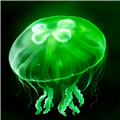 绿水母eggjelly官方正版下载_绿水母EGGJELLY短剧下载 v2.5安卓版