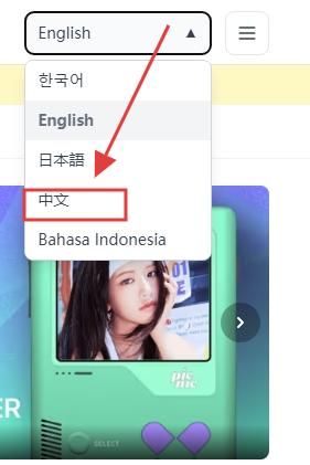 怎么调中文配图2